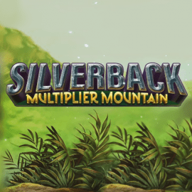 Silverback Multiplier Mountain