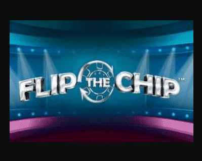 Flip The Chip Slot