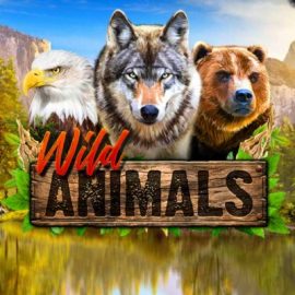 Wild Animals Slot