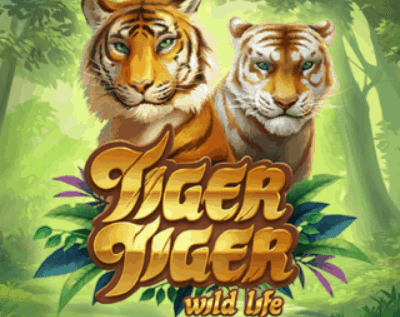 Tiger Tiger Slot