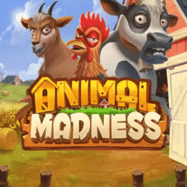 Animal Madness Slot