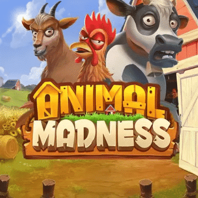 It’s just Animal Madness!
