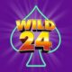 Wild24 Casino