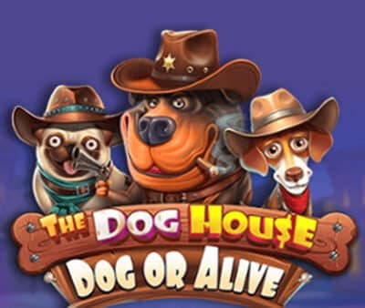 Meet the new slot with everyone’s favorite dogs The Dog House – Dog or Alive from Pragmatic Play!