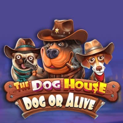 Meet the new slot with everyone’s favorite dogs The Dog House – Dog or Alive from Pragmatic Play!